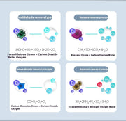 Portable air purifier with deodorant and anion function