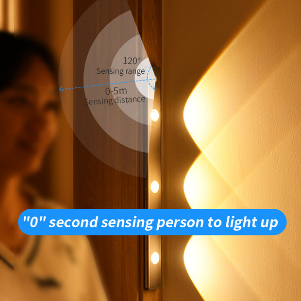 Dimmable rechargeable motion sensor night light