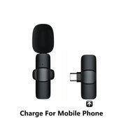 Compact audio recording microphone for smartphones